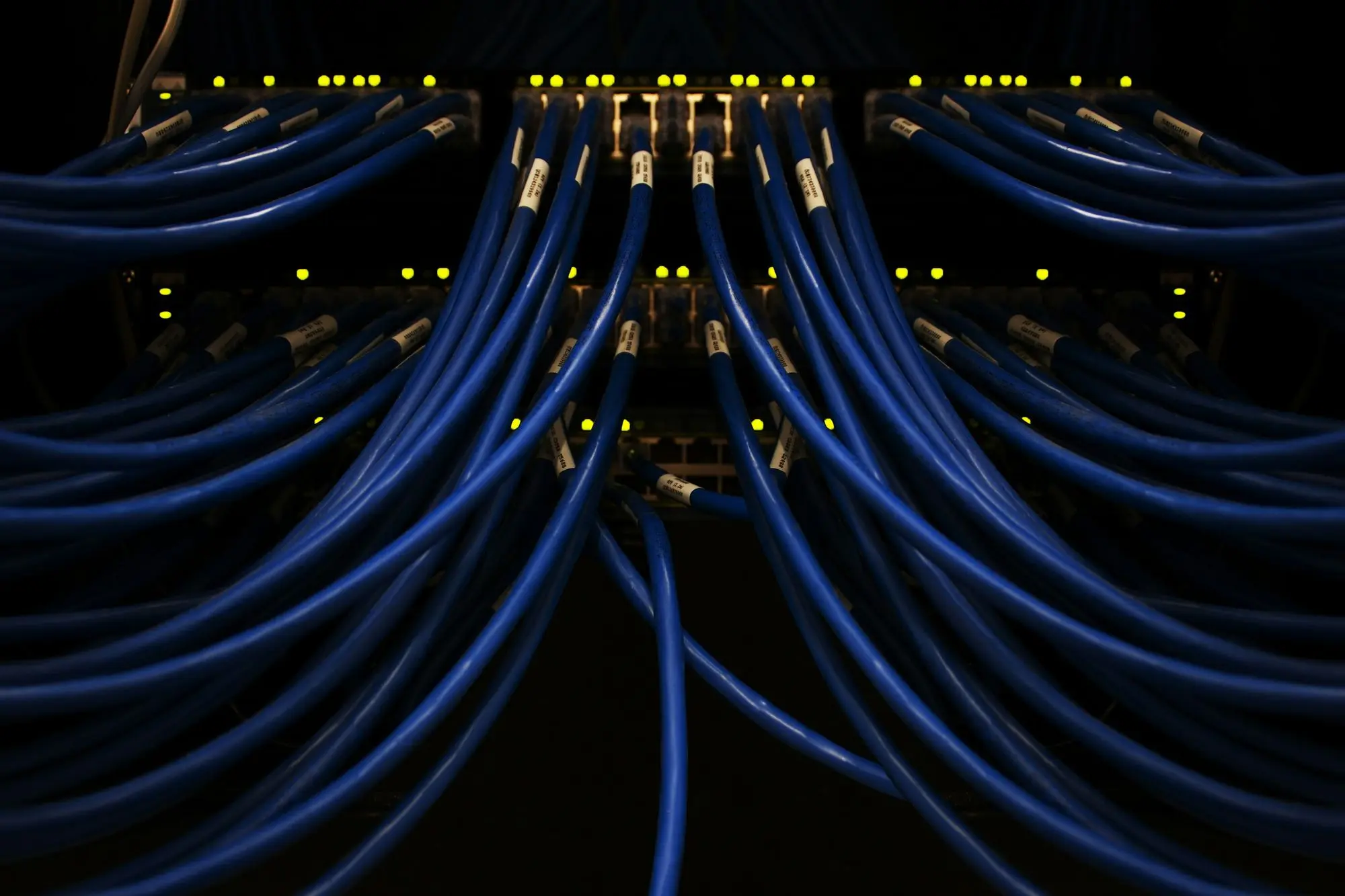 Network cables converging into a patch panel